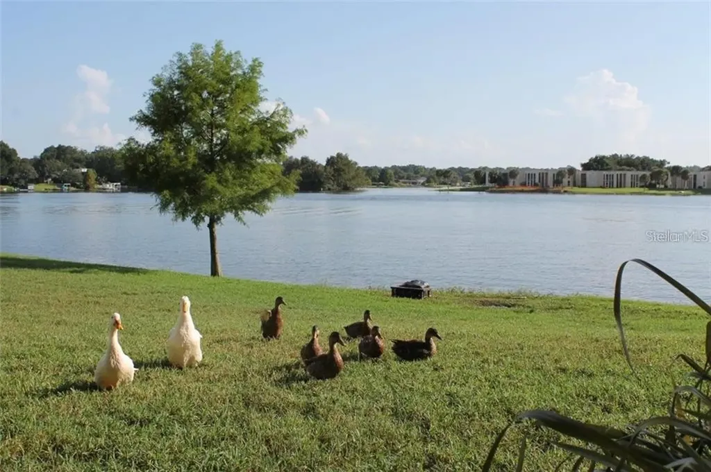 622 Orange Drive Altamonte Springs FL 32701