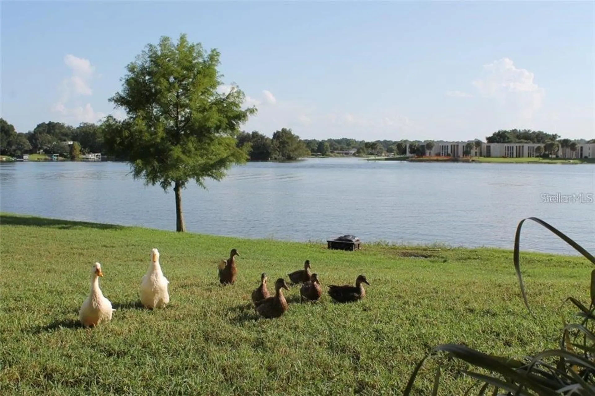 622 Orange Drive Altamonte Springs FL 32701