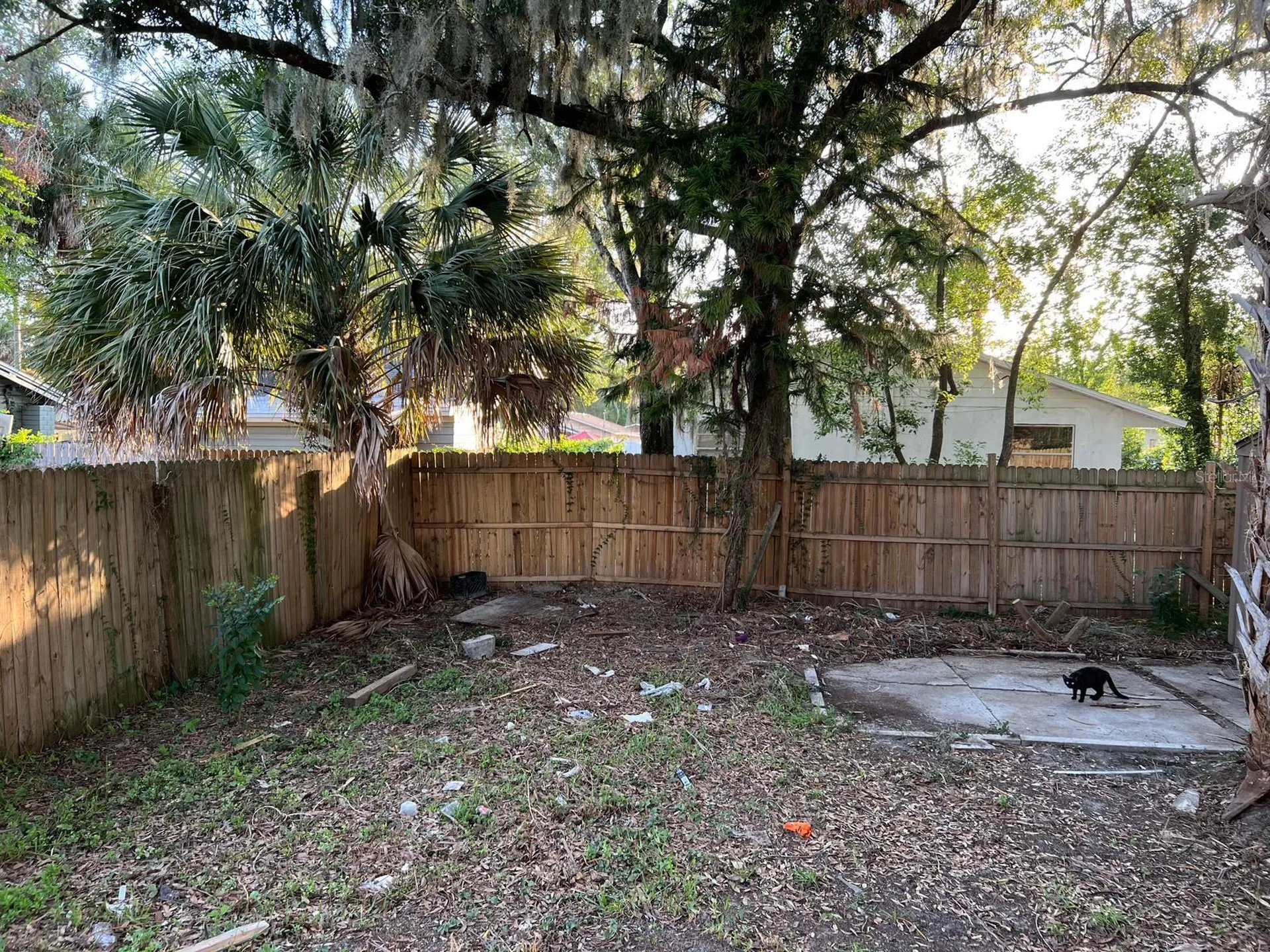 8210 N 13th Street Tampa FL 33604