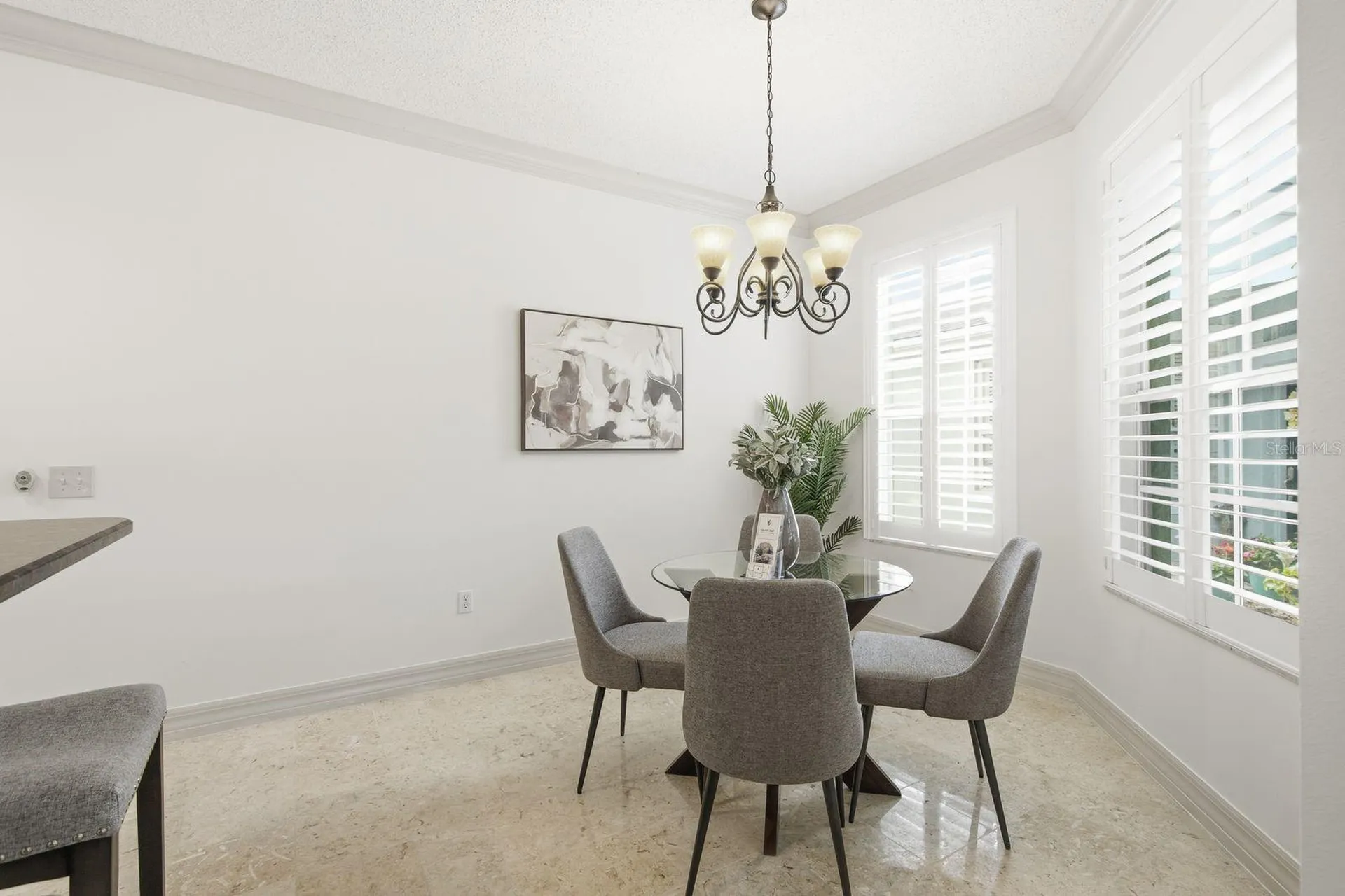 9811 Gingerwood Drive Tampa FL 33626