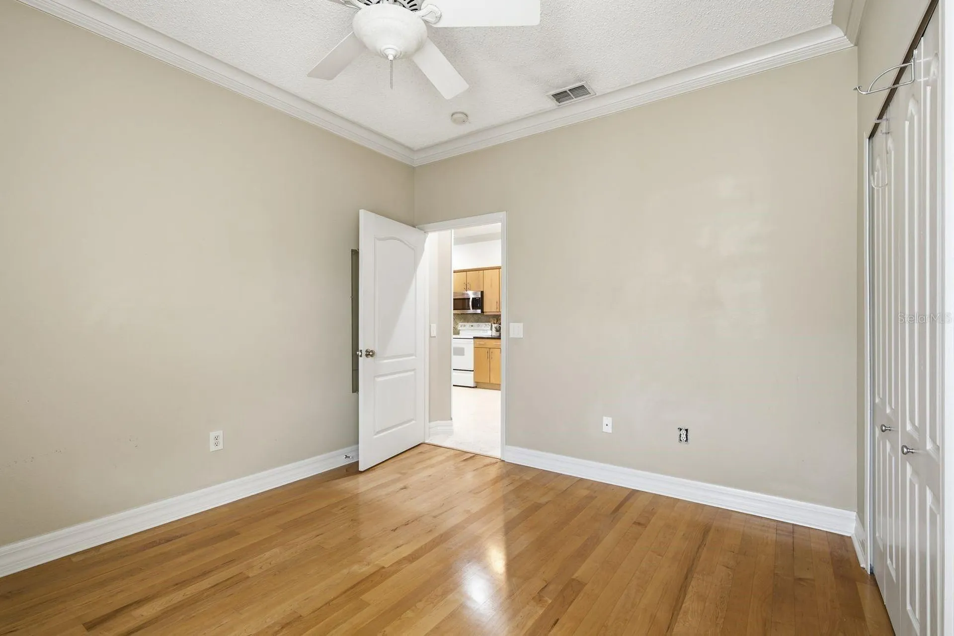 9811 Gingerwood Drive Tampa FL 33626