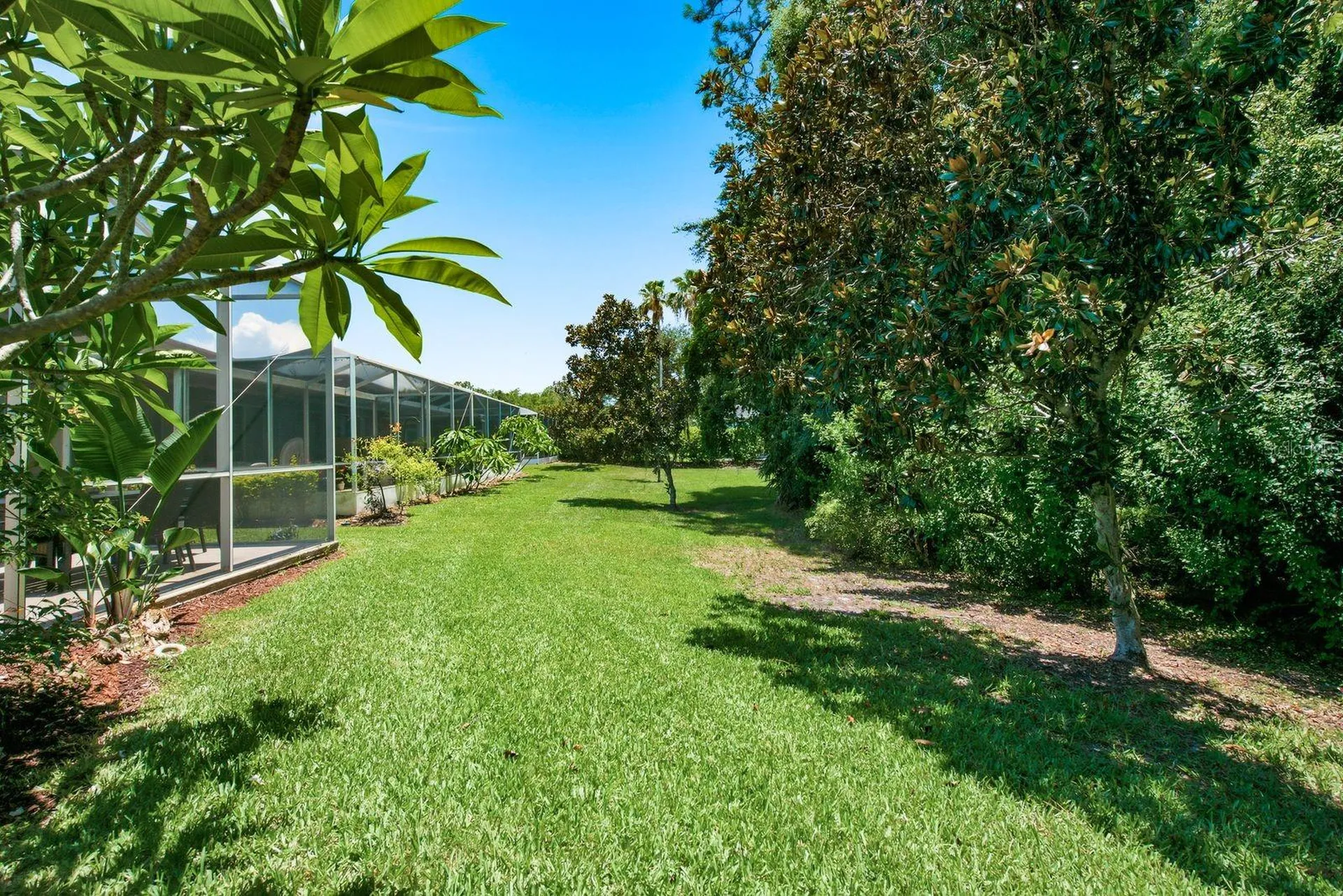 9811 Gingerwood Drive Tampa FL 33626