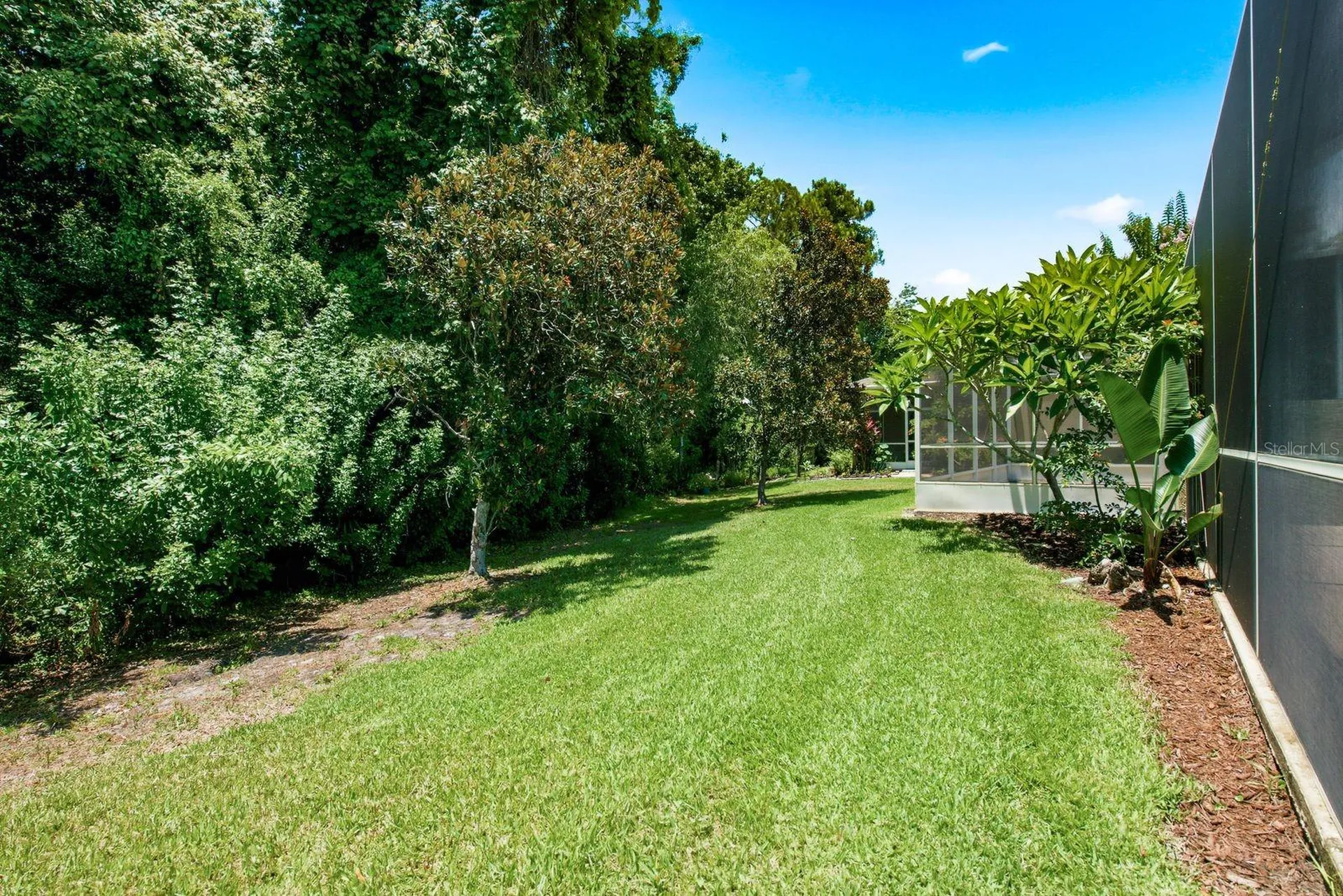 9811 Gingerwood Drive Tampa FL 33626