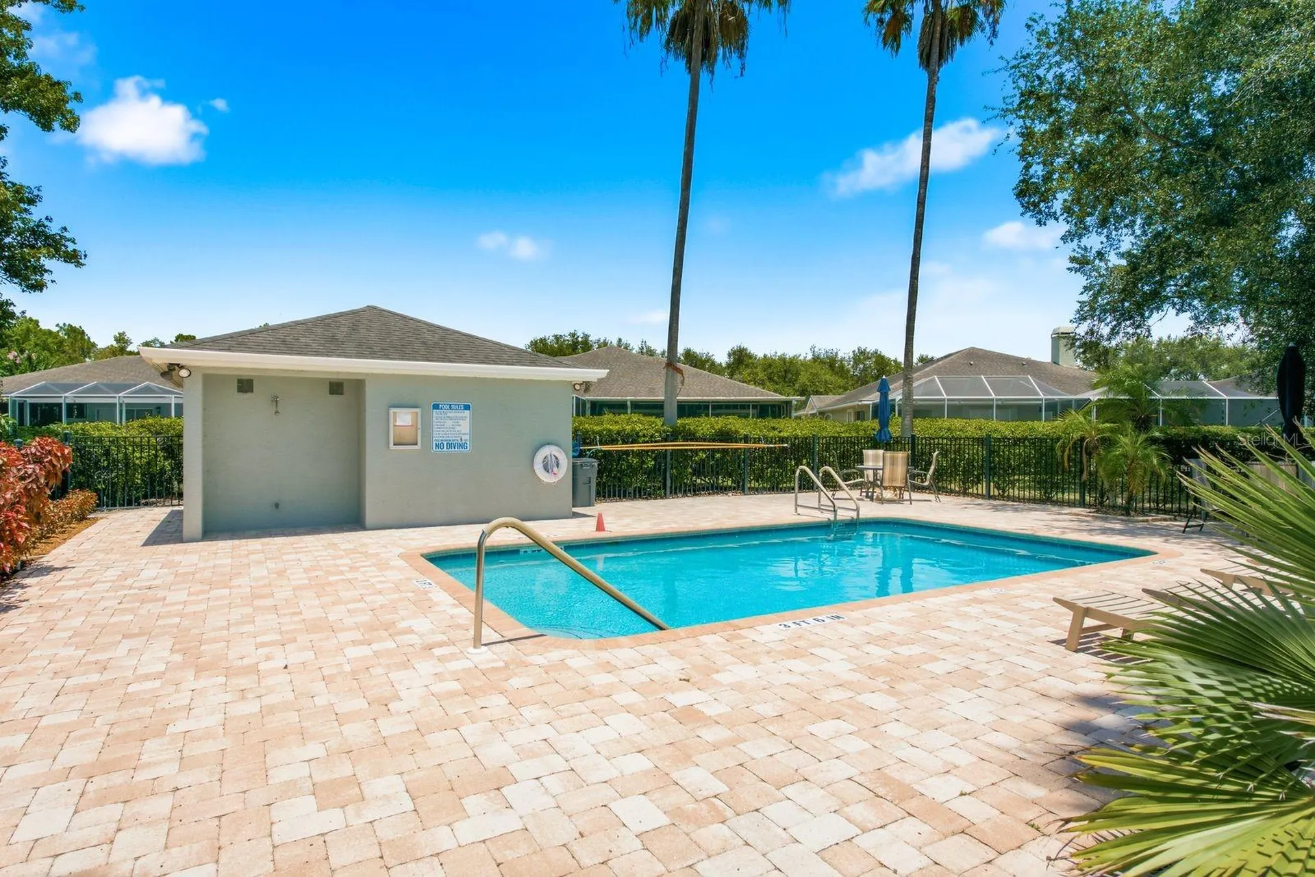 9811 Gingerwood Drive Tampa FL 33626
