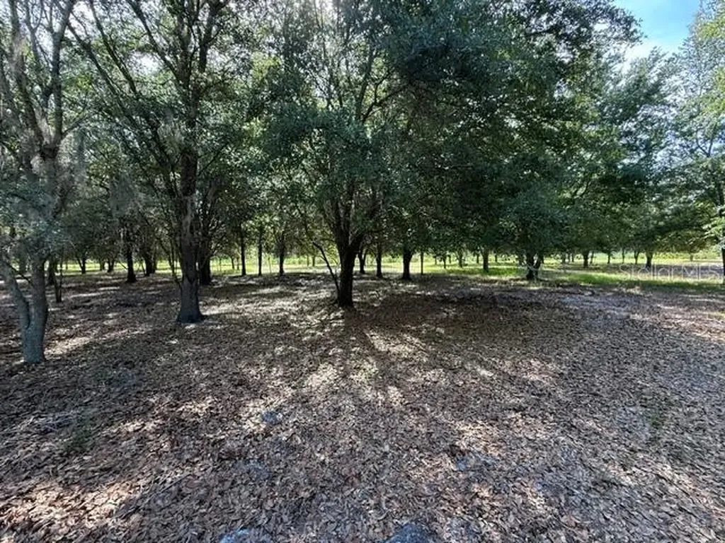 7214 Oil Well Road Clermont FL 34714