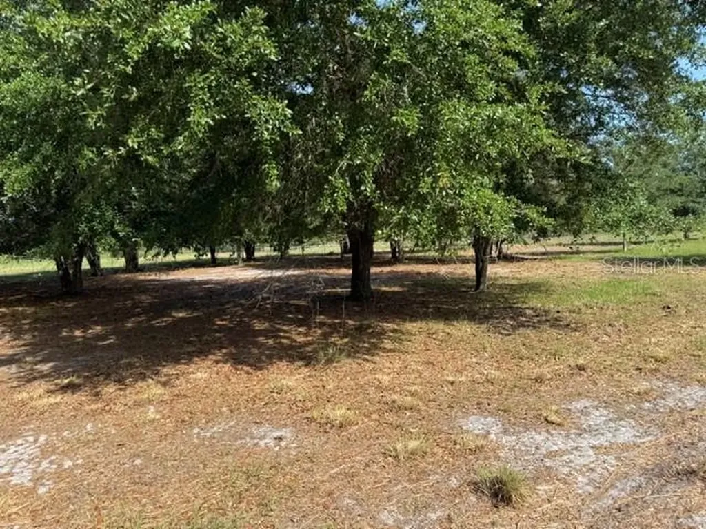 7214 Oil Well Road Clermont FL 34714