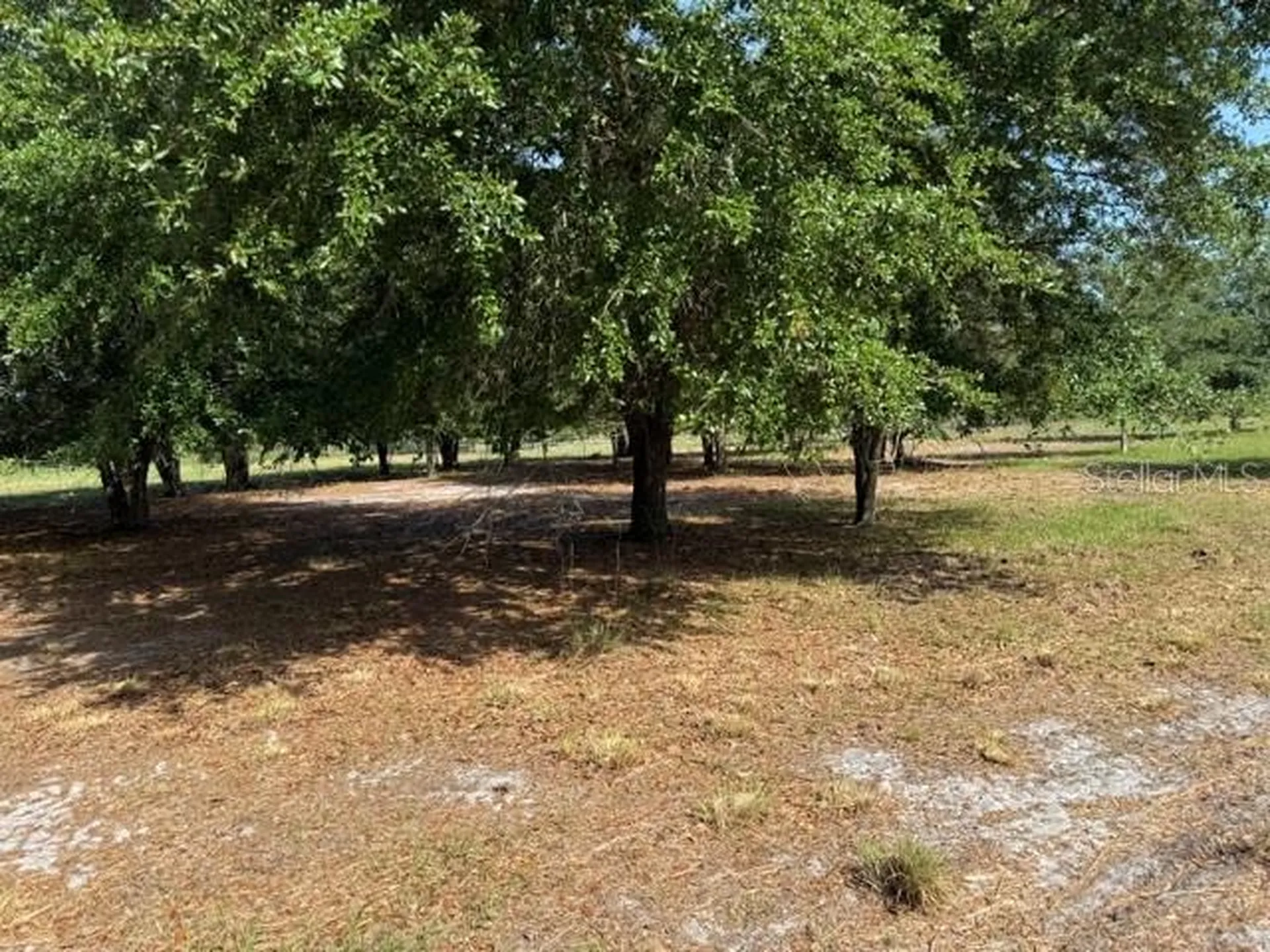 7214 Oil Well Road Clermont FL 34714