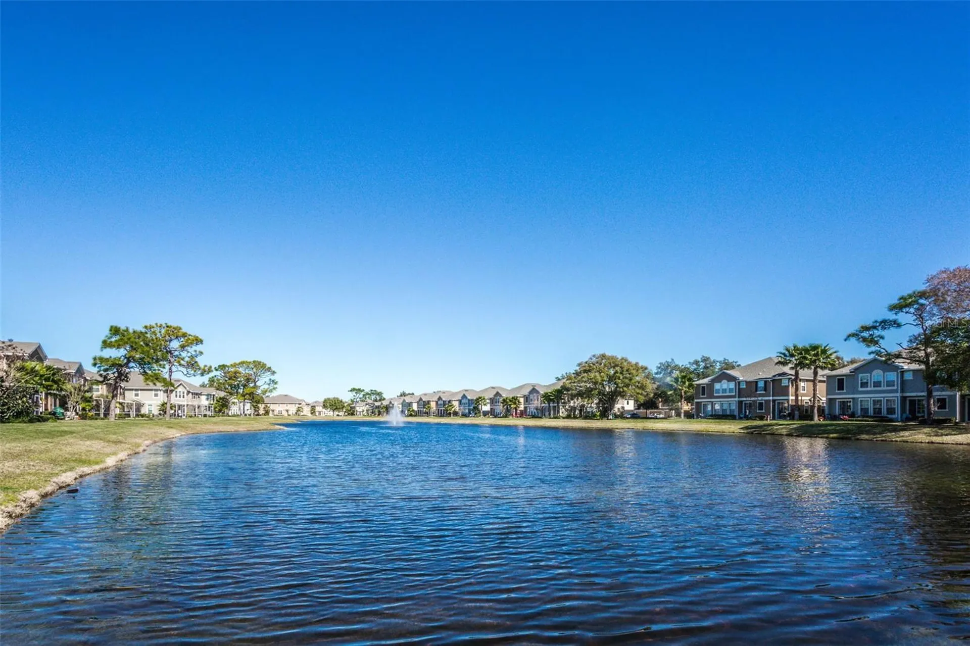 7001 Interbay Boulevard Tampa FL 33616