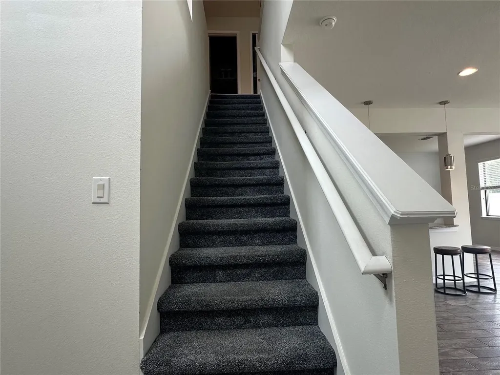 4515 Savannah Holly Place Riverview FL 33578