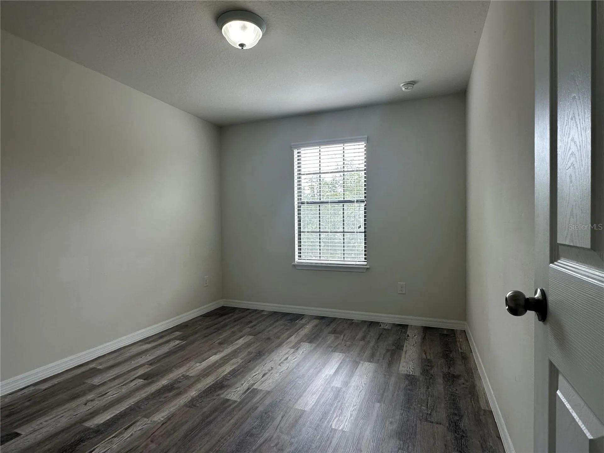 4515 Savannah Holly Place Riverview FL 33578