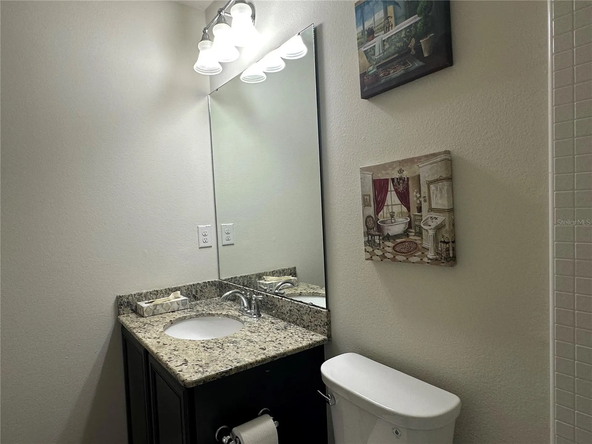 4515 Savannah Holly Place Riverview FL 33578