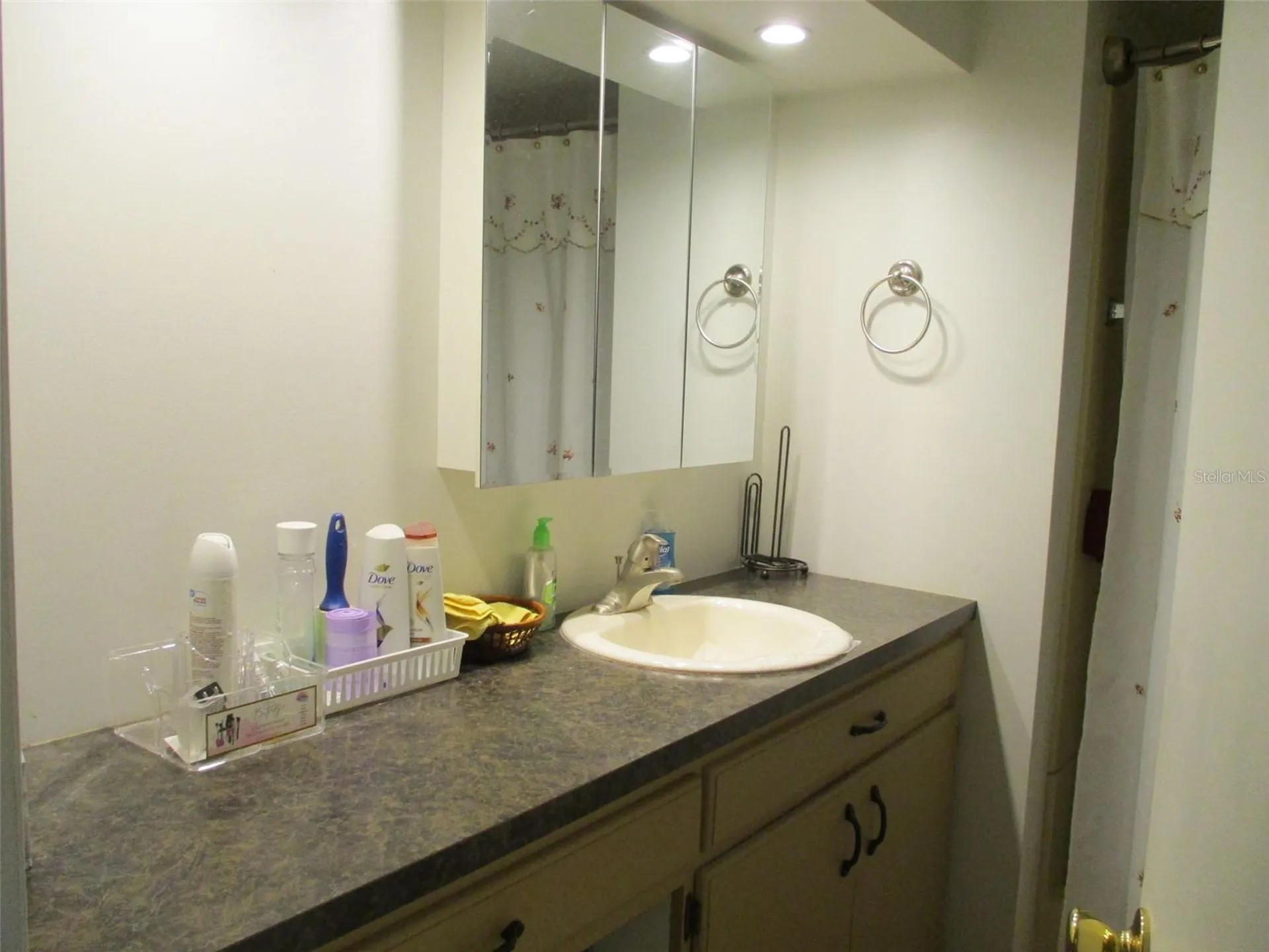 38513 Willoughby Drive Zephyrhills FL 33540