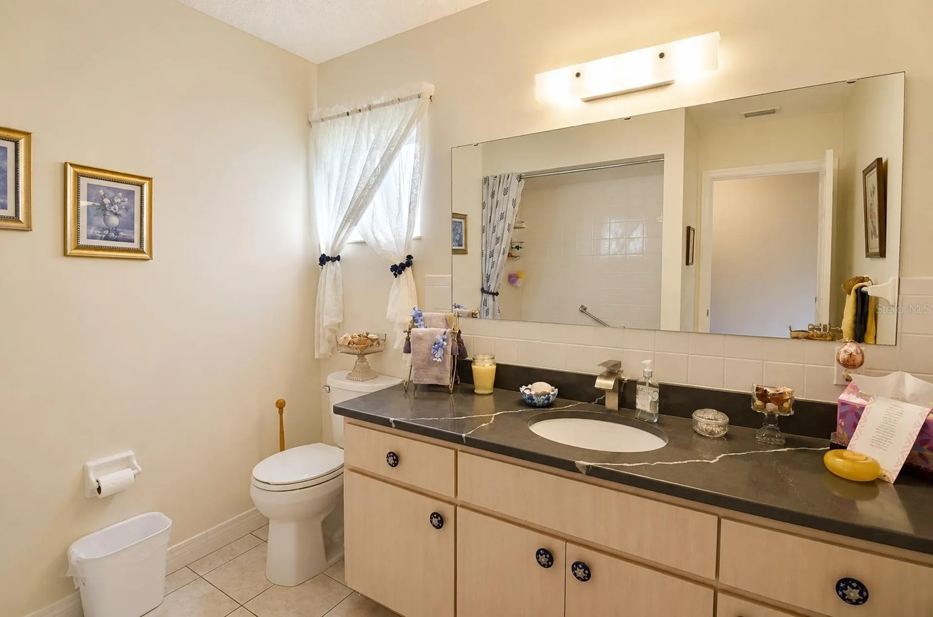 9900 SE 175th Place Summerfield FL 34491