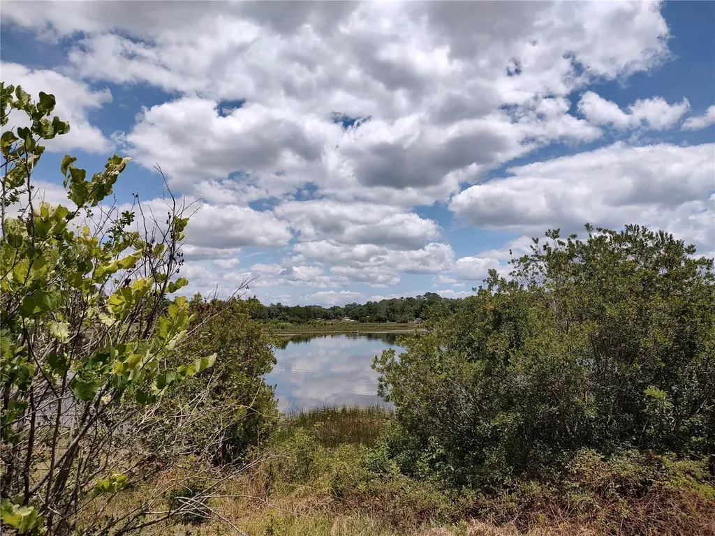 16885 SE 71st Street Ocklawaha FL 32179