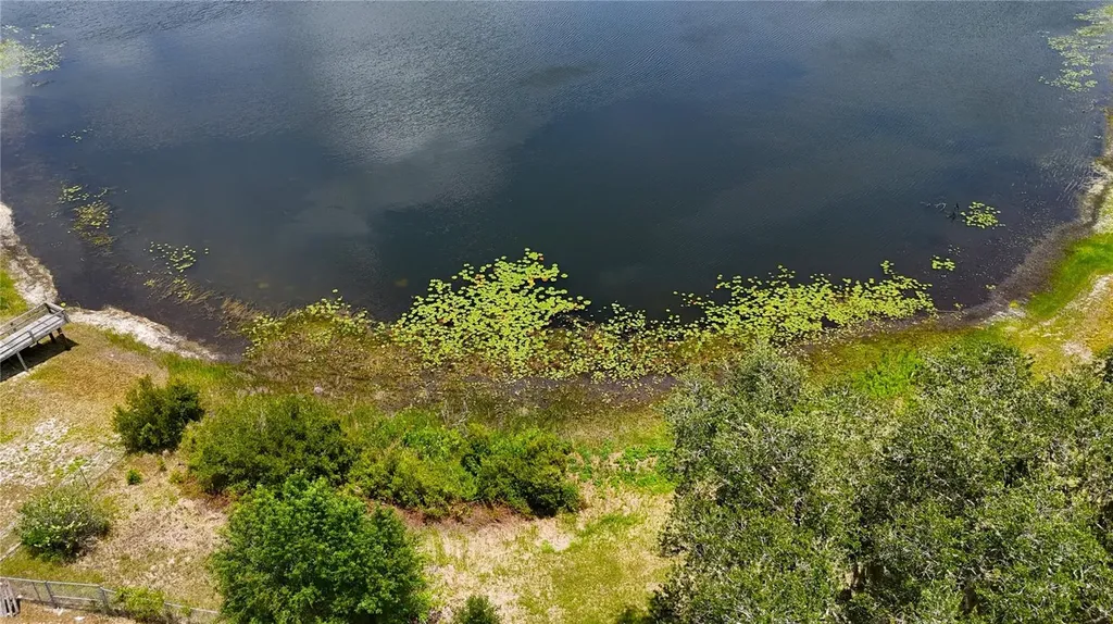 16885 SE 71st Street Ocklawaha FL 32179