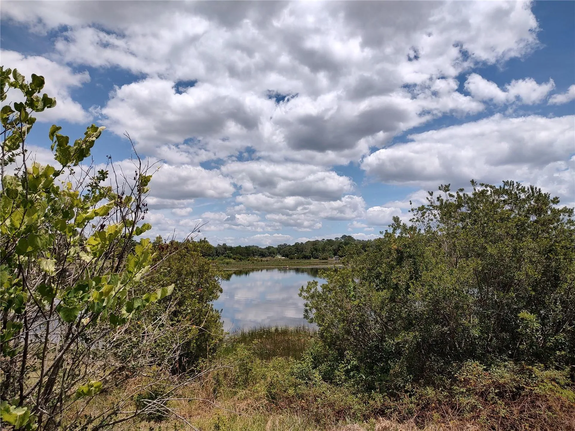 16885 SE 71st Street Ocklawaha FL 32179
