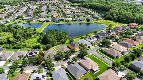 20057 Oakflower Avenue Tampa FL 33647