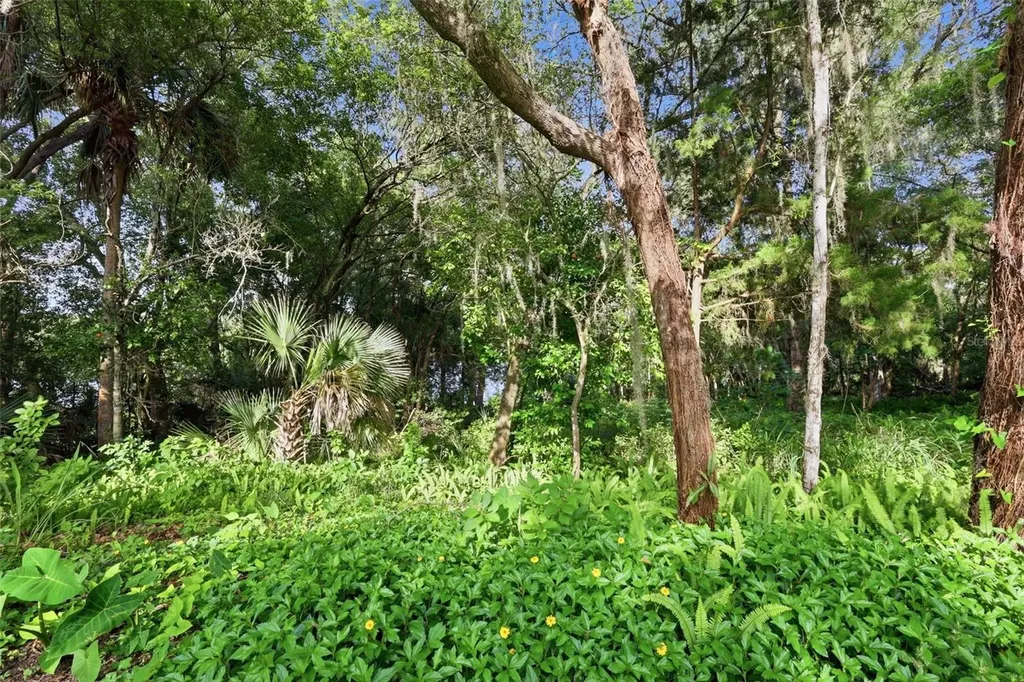 Vista Street Lake Helen FL 32744
