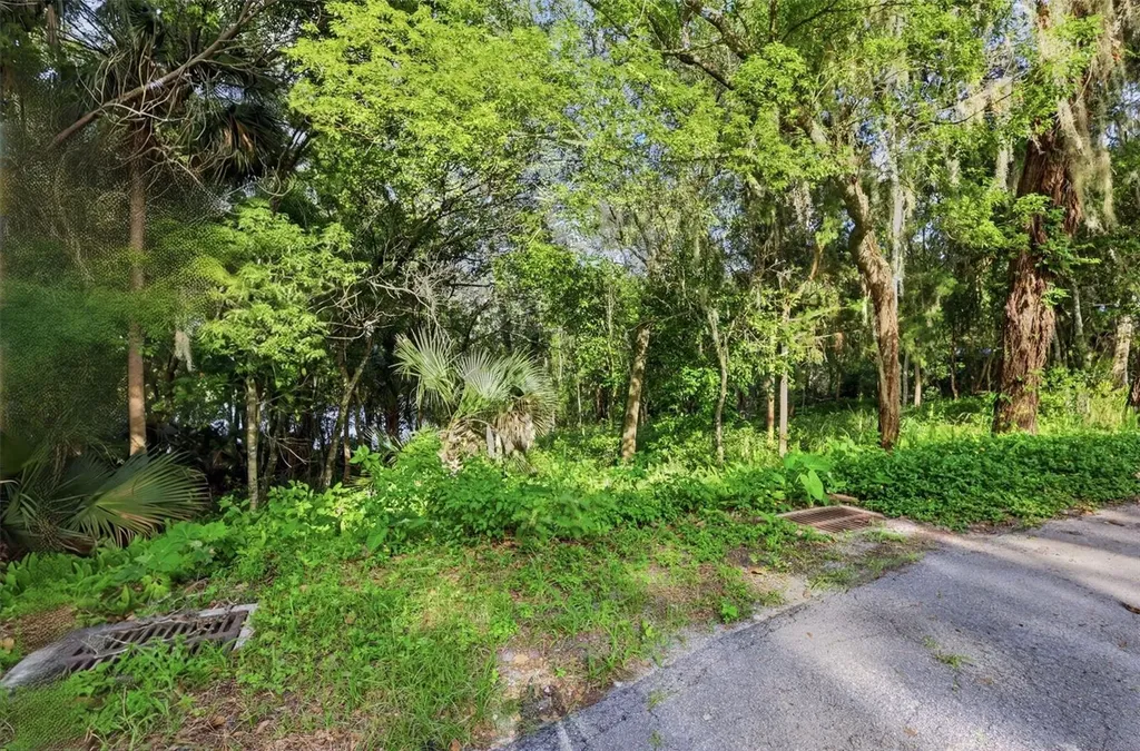 Vista Street Lake Helen FL 32744