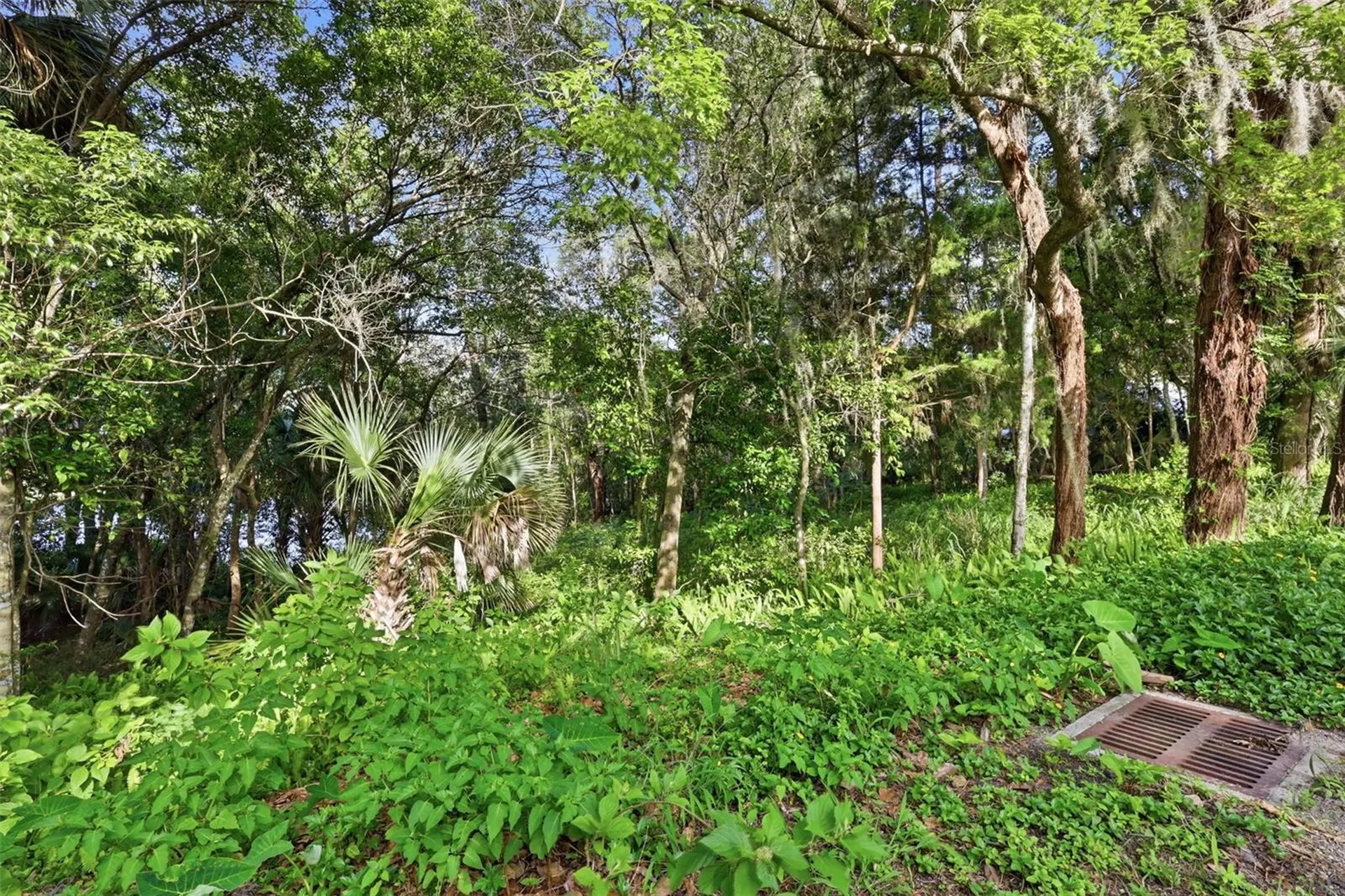 Vista Street Lake Helen FL 32744