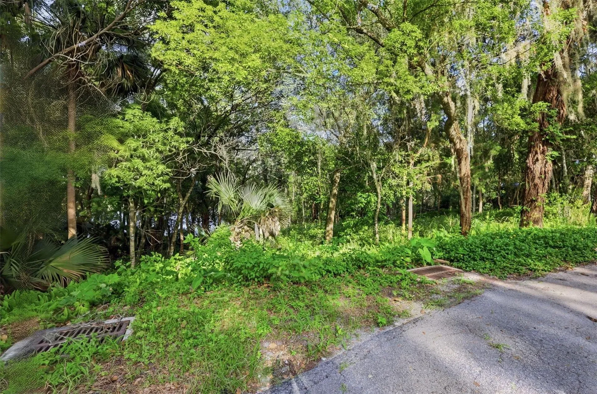 Vista Street Lake Helen FL 32744