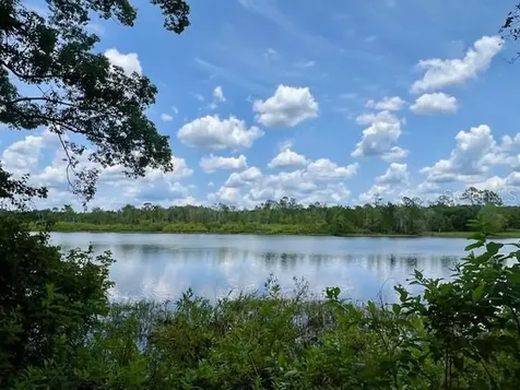 Vista Street Lake Helen FL 32744