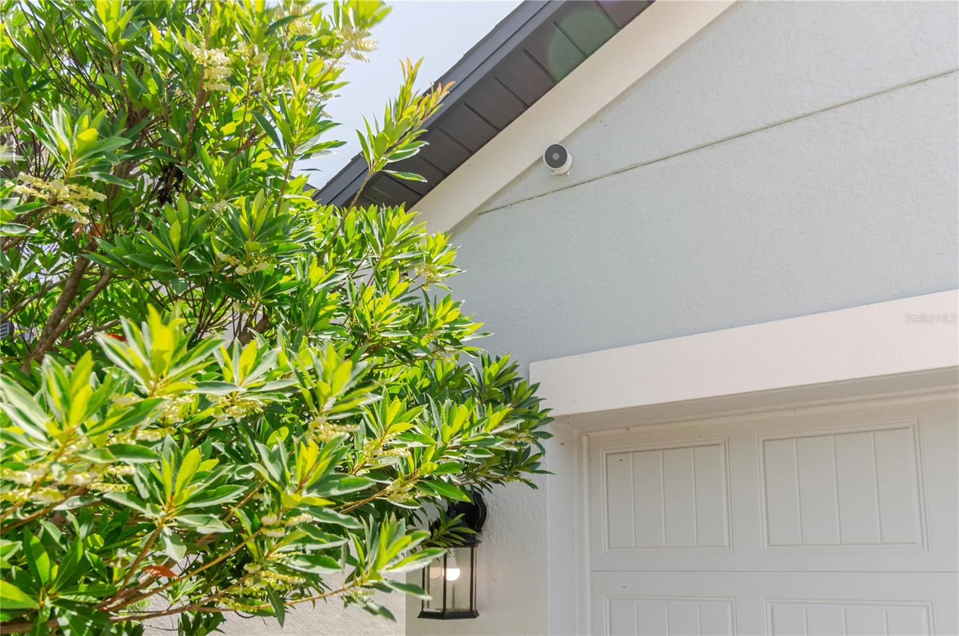 17871 Cortes Creek Boulevard Spring Hill FL 34610