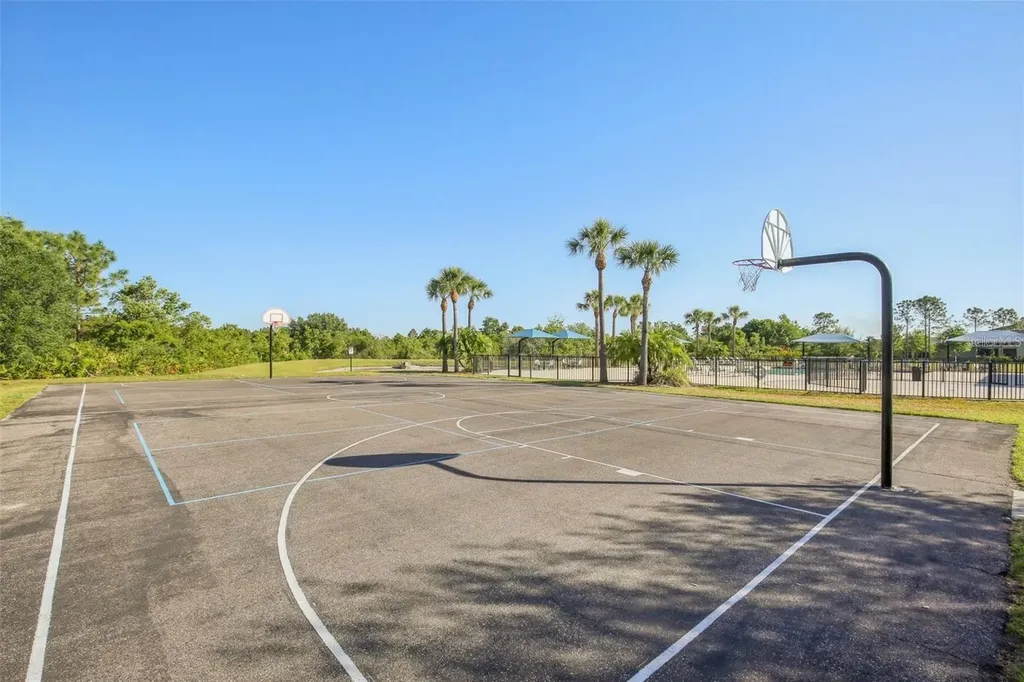 5233 Suncatcher Drive Wesley Chapel FL 33545