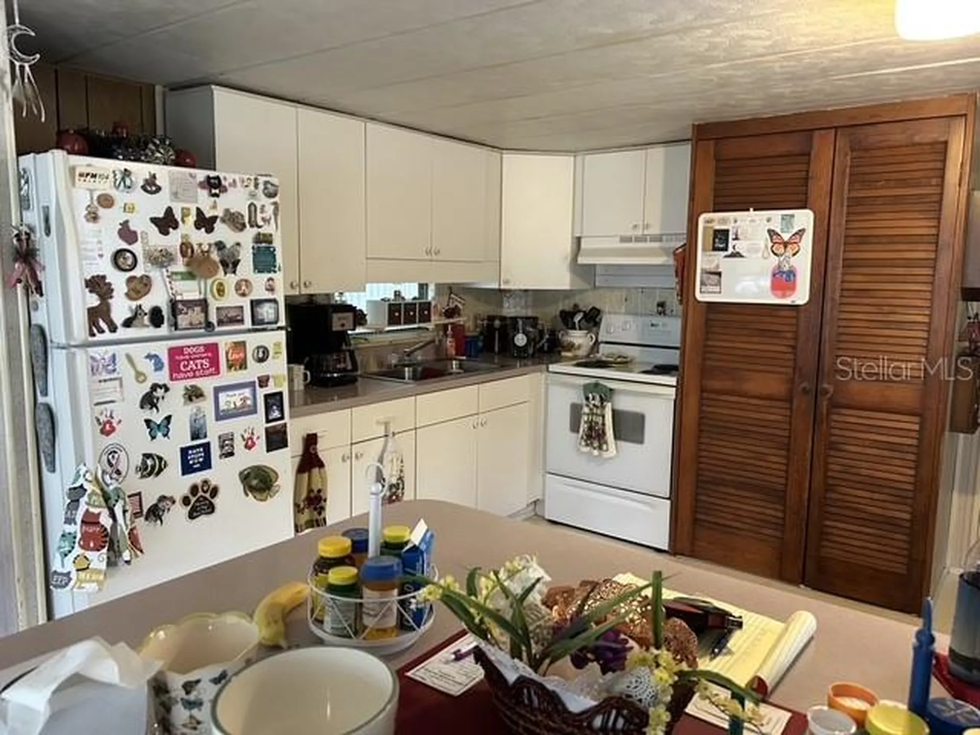 16716 SE 101st Court Road Summerfield FL 34491