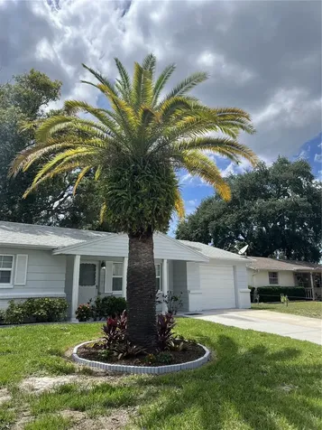 4813 Dogwood Street New Port Richey FL 34653