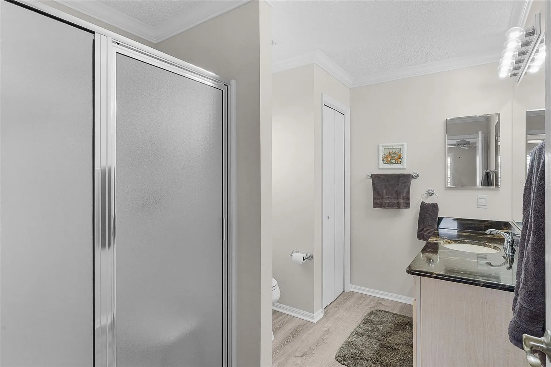 2448 Saluda Street The Villages FL 32162
