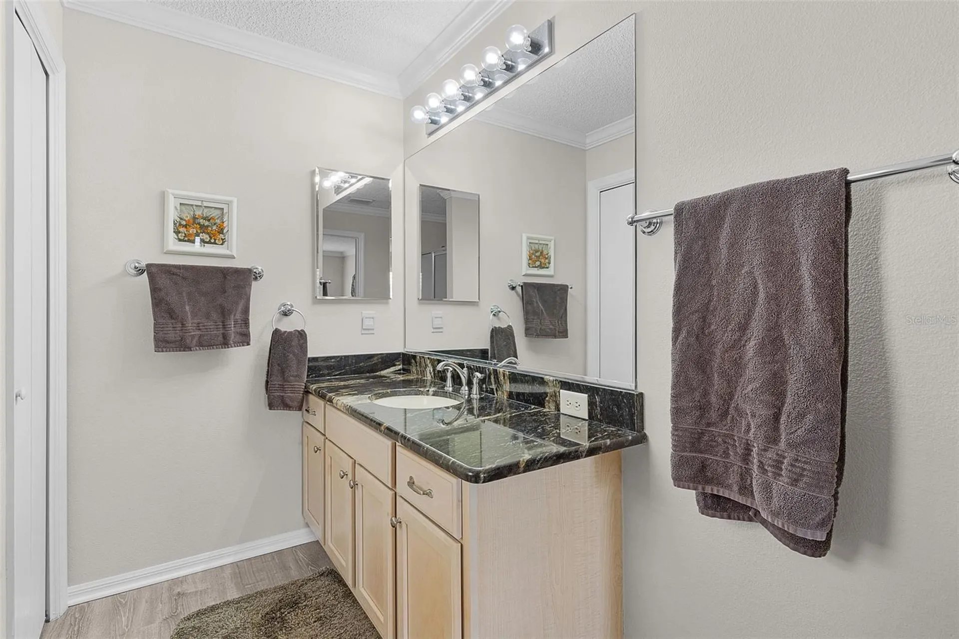 2448 Saluda Street The Villages FL 32162