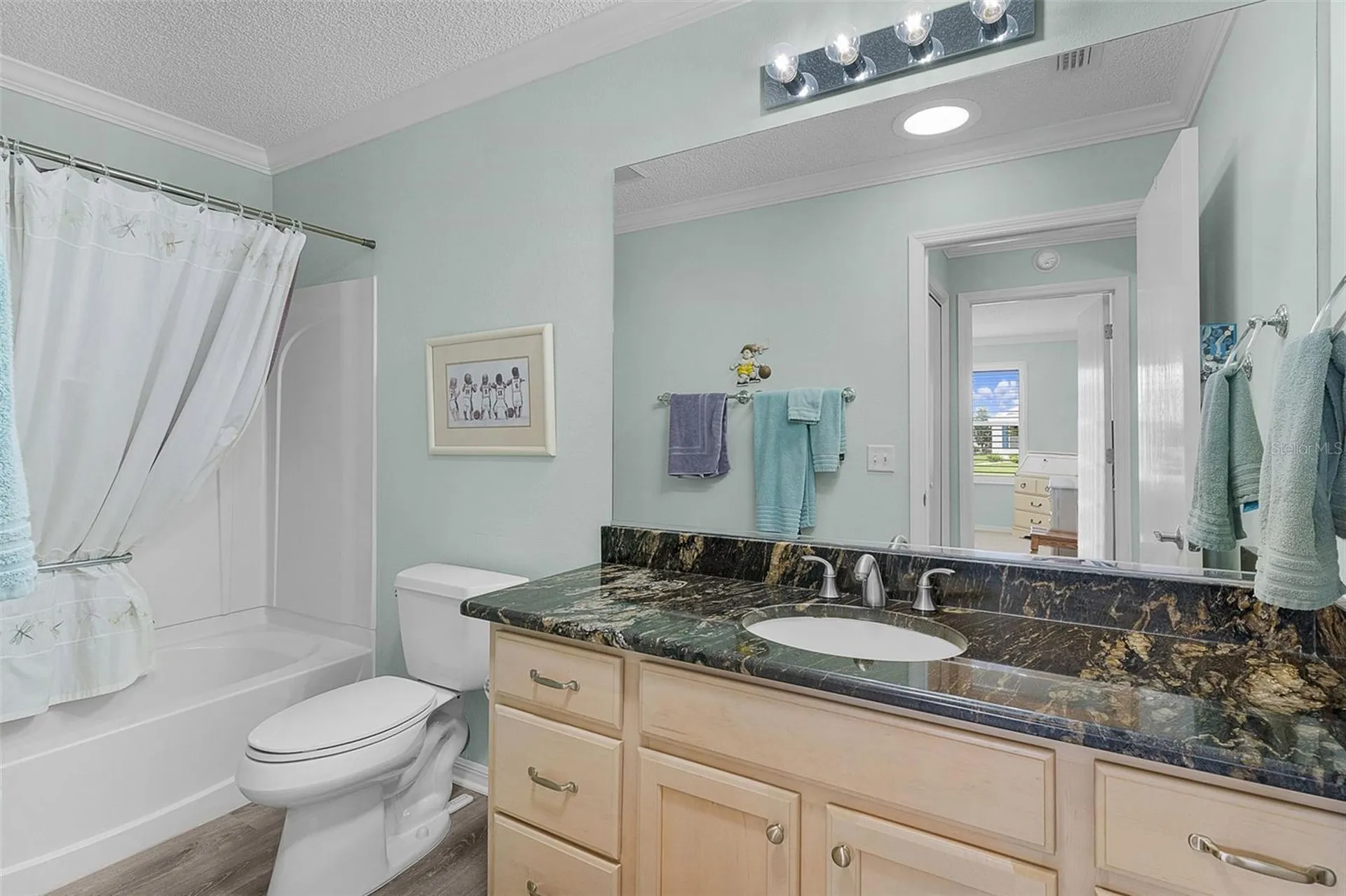 2448 Saluda Street The Villages FL 32162