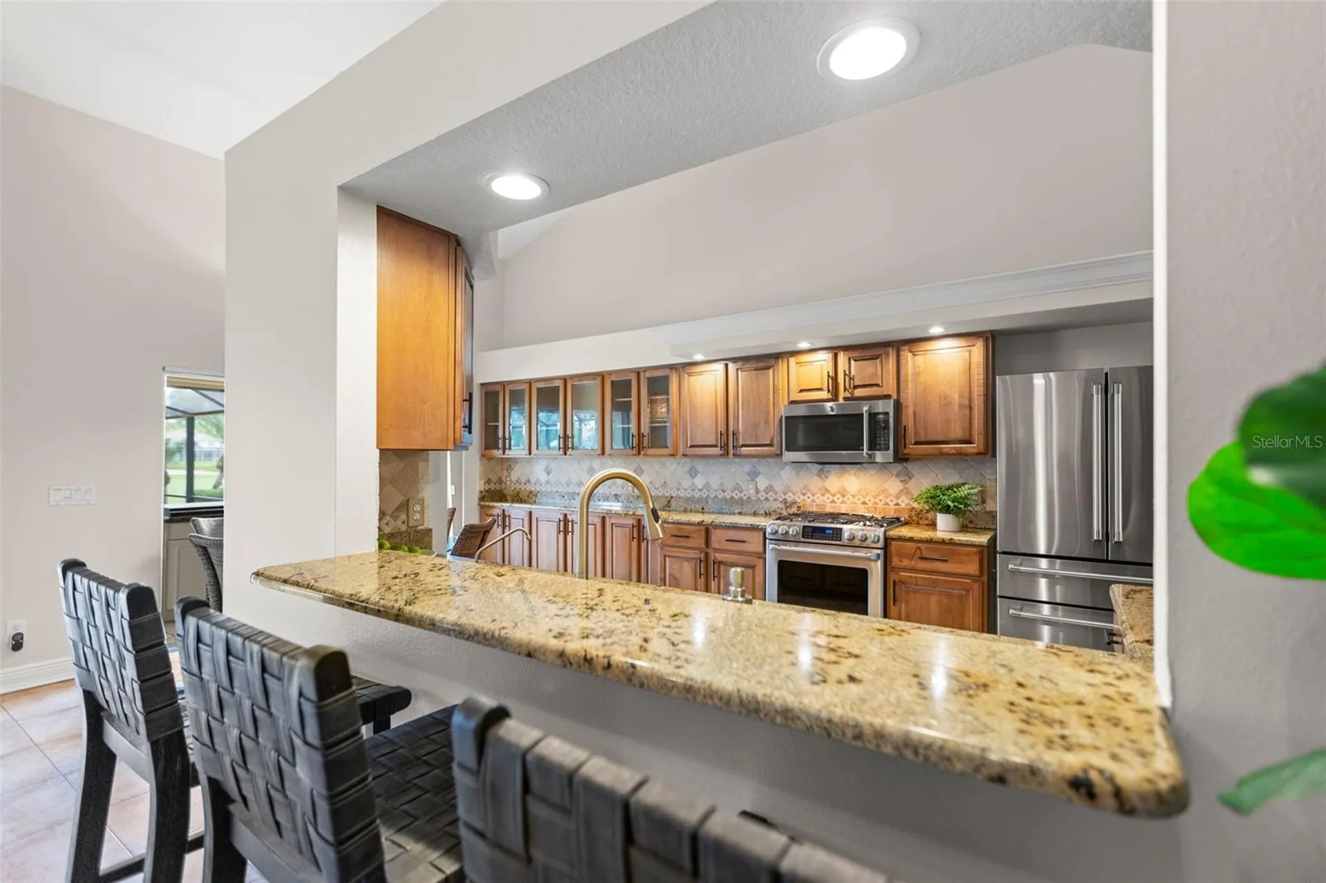 5562 Avenue Du Soleil Lutz FL 33558