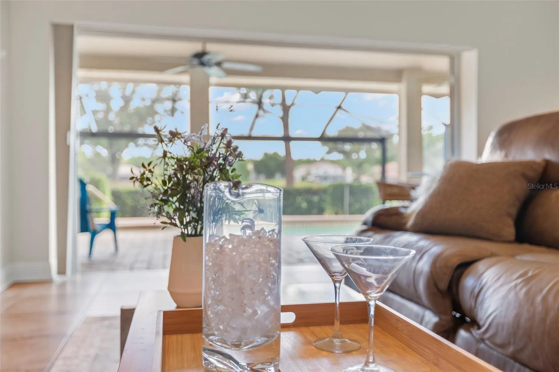 5562 Avenue Du Soleil Lutz FL 33558