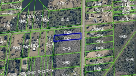 20461 Oberly Parkway Orlando FL 32833