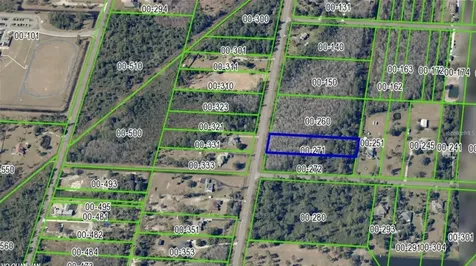 20461 Oberly Parkway Orlando FL 32833