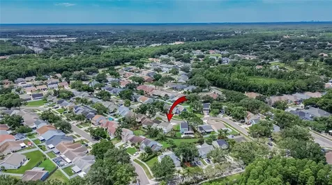 9718 Fox Hollow Road Tampa FL 33647