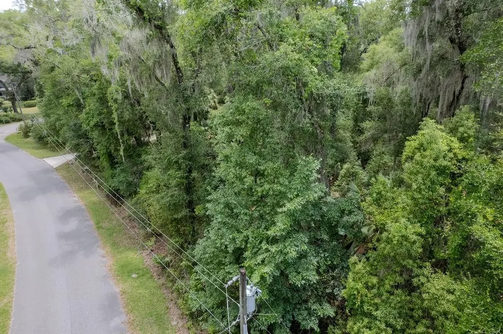 Lot 6 SW 186 Circle Dunnellon FL 34432