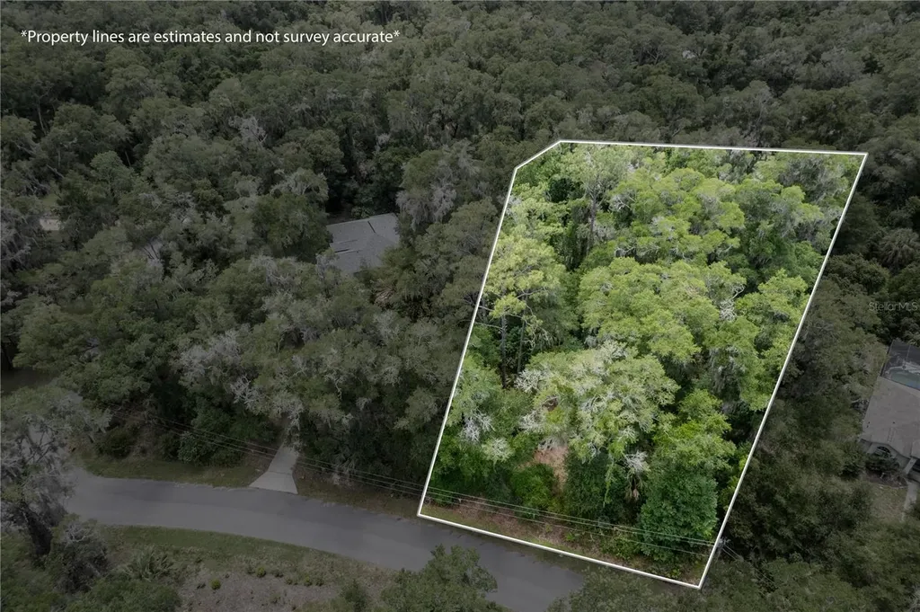 Lot 6 SW 186 Circle Dunnellon FL 34432