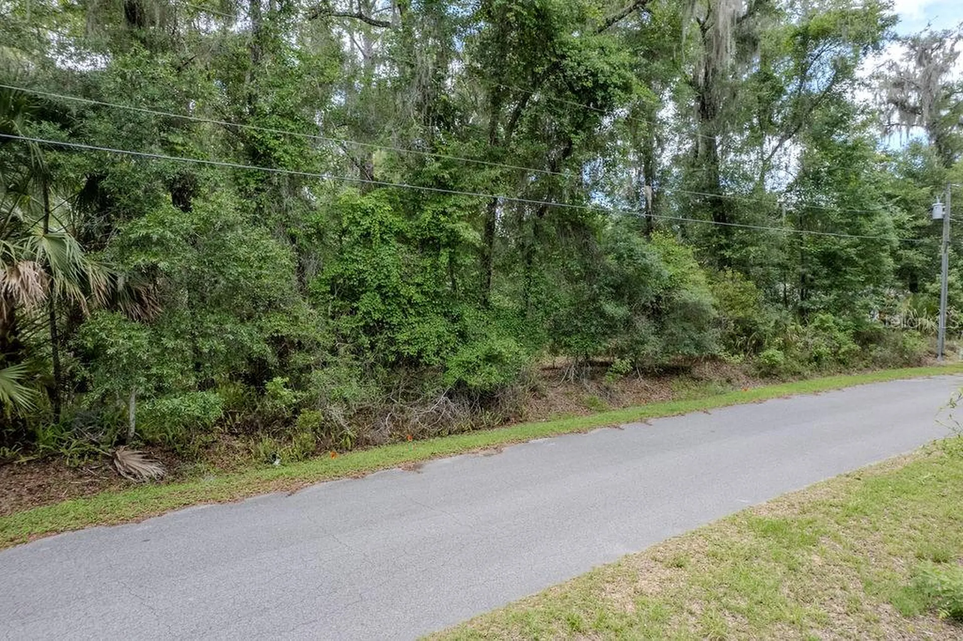 Lot 6 SW 186 Circle Dunnellon FL 34432