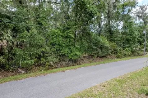 Lot 6 SW 186 Circle Dunnellon FL 34432