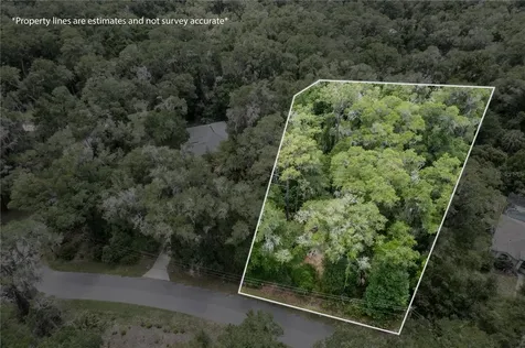 Lot 6 SW 186 Circle Dunnellon FL 34432