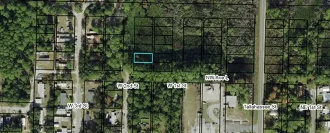1304 W 2nd Street Carrabelle FL 32322