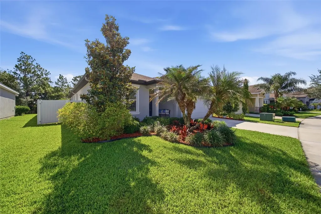 5234 Turtle Bay Drive Wesley Chapel FL 33545