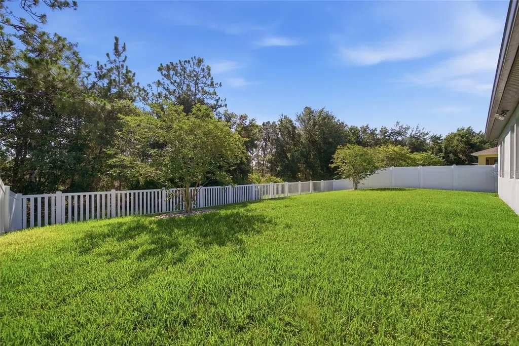 5234 Turtle Bay Drive Wesley Chapel FL 33545