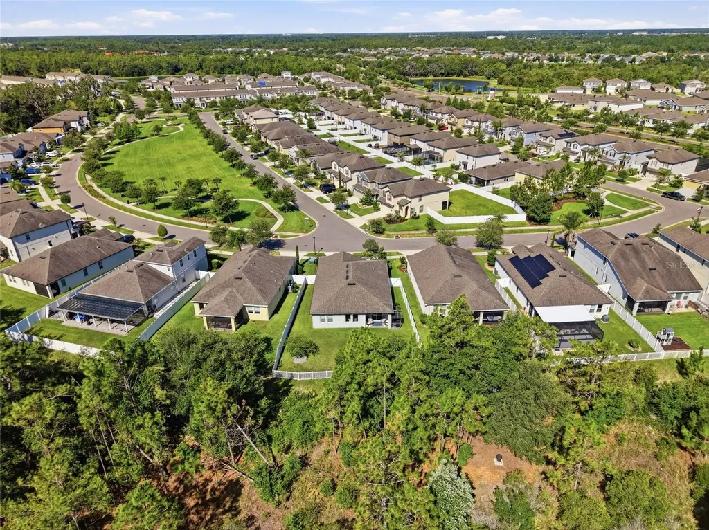 5234 Turtle Bay Drive Wesley Chapel FL 33545
