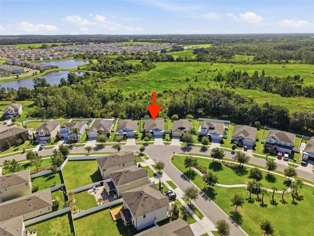 5234 Turtle Bay Drive Wesley Chapel FL 33545