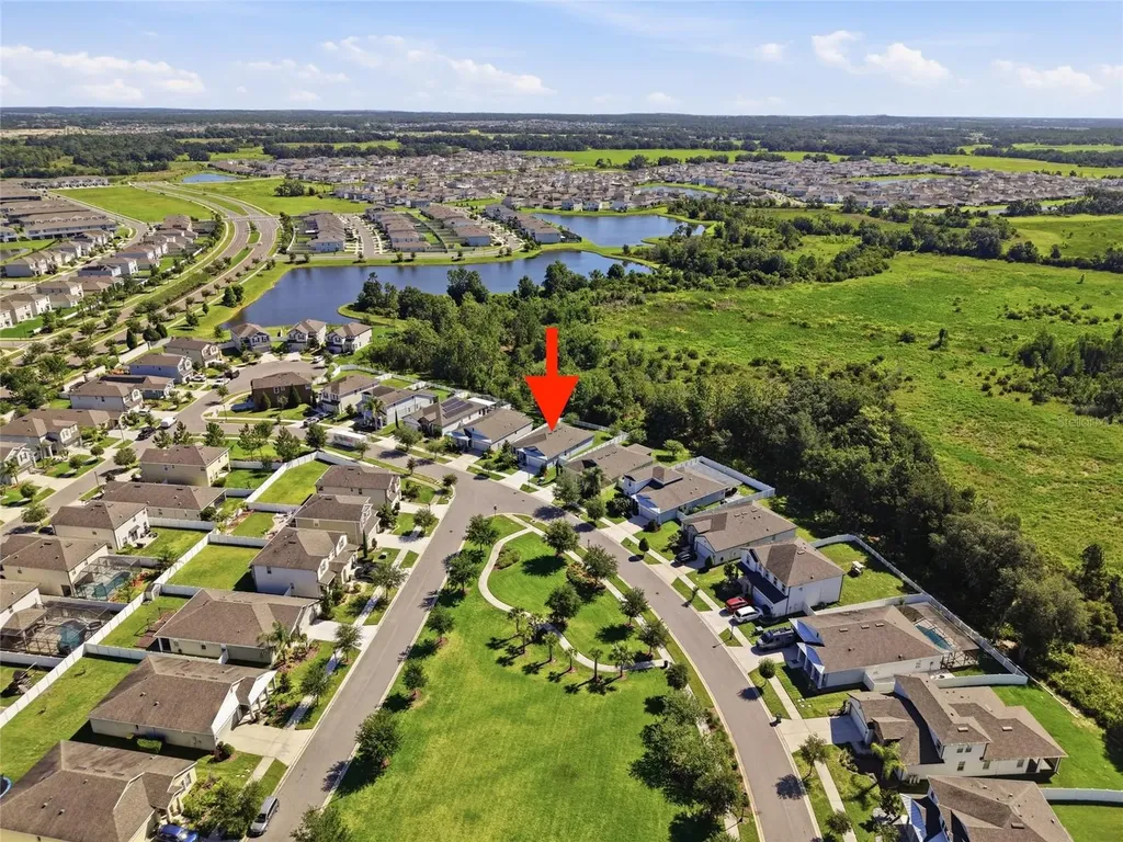5234 Turtle Bay Drive Wesley Chapel FL 33545