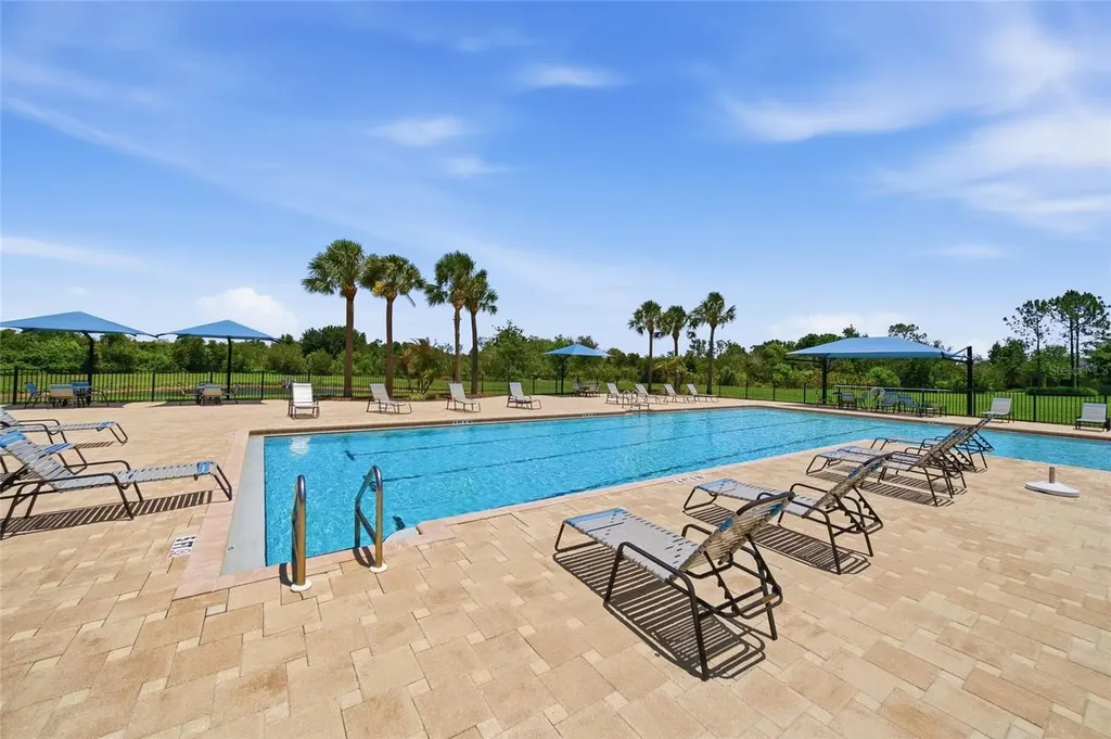 5234 Turtle Bay Drive Wesley Chapel FL 33545